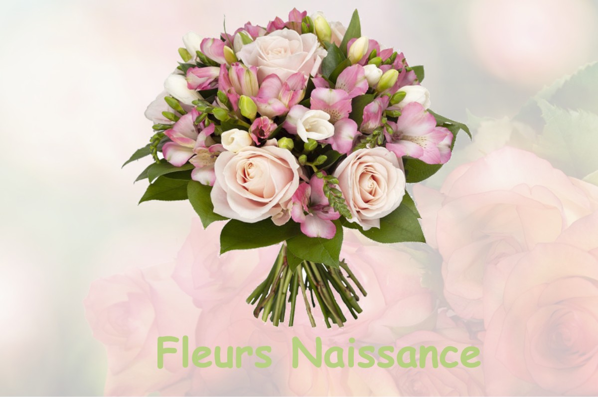 fleurs naissance NOYAREY