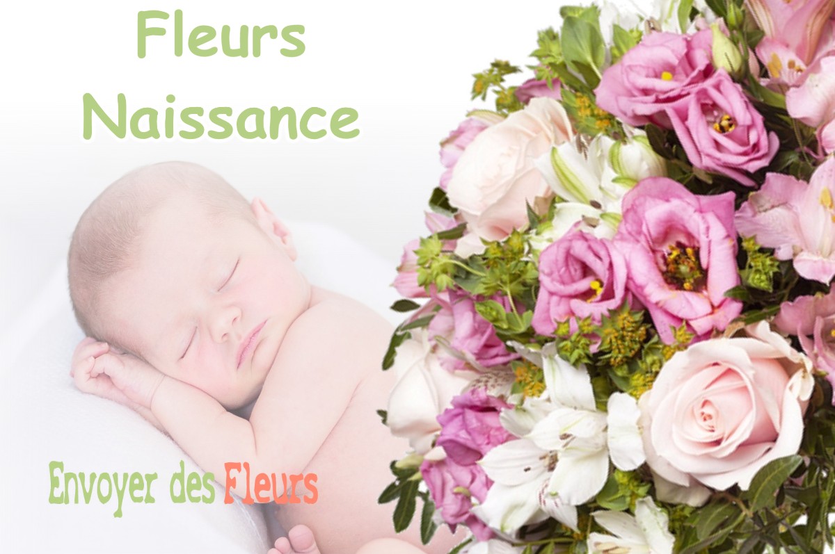 lIVRAISON FLEURS NAISSANCE à NOYAREY